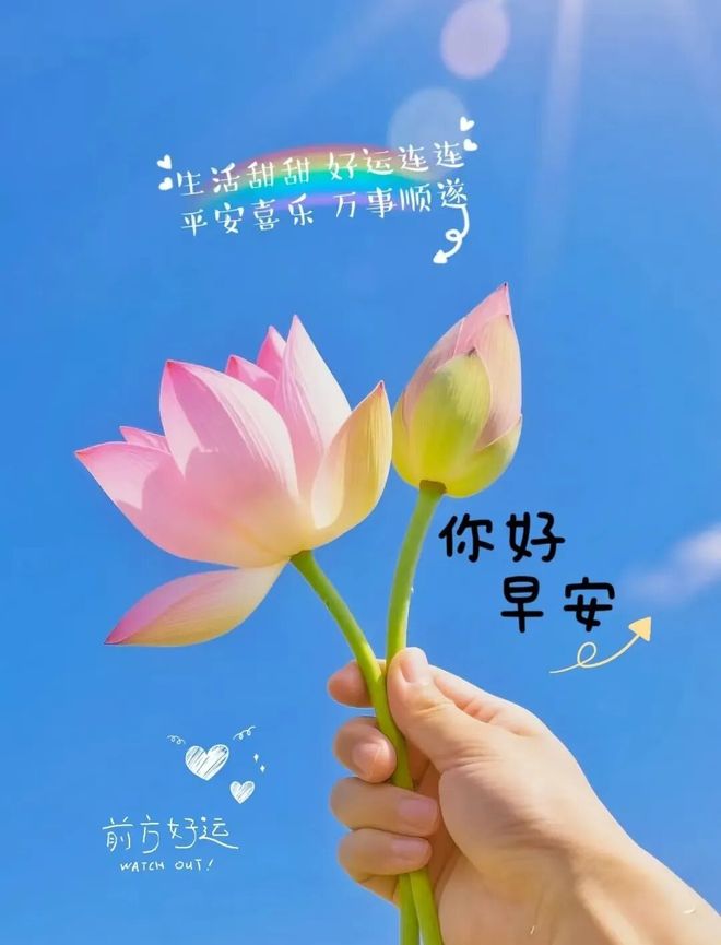 早安努力向上的正能量语录干净励志开启元气